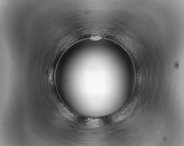 X0000099440185200805161143