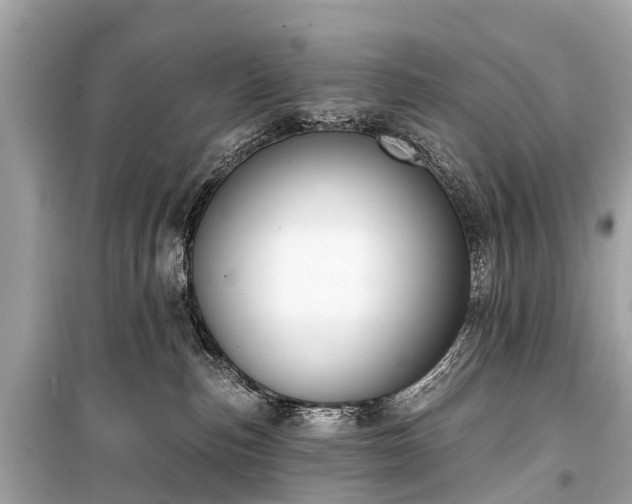 X0000099440187200805161143