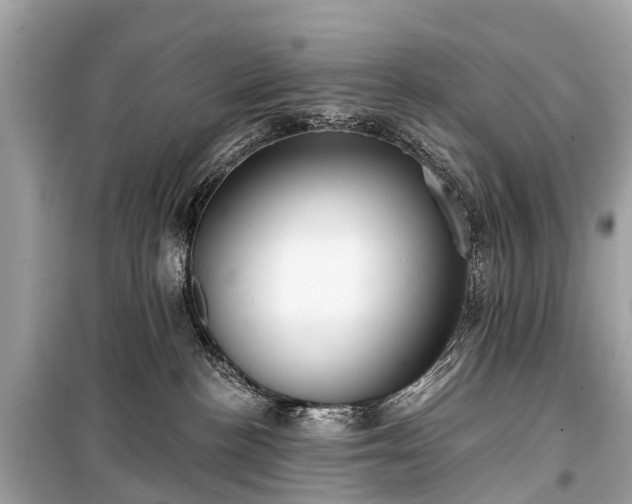 X0000099440188200805161143