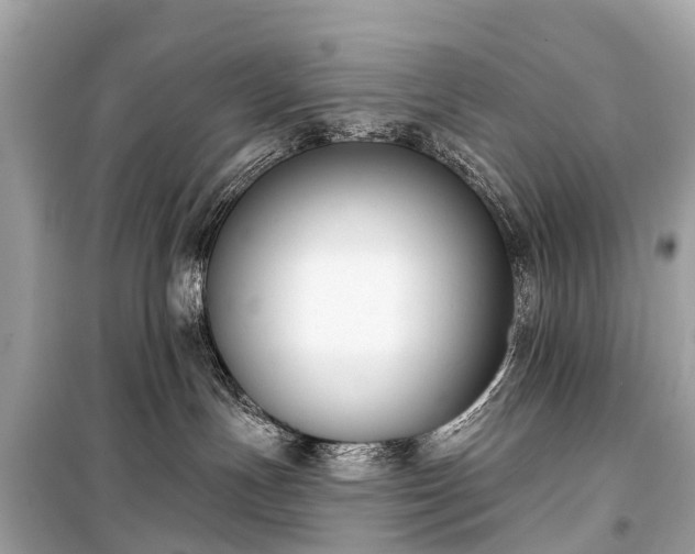 X0000099440191200805161143