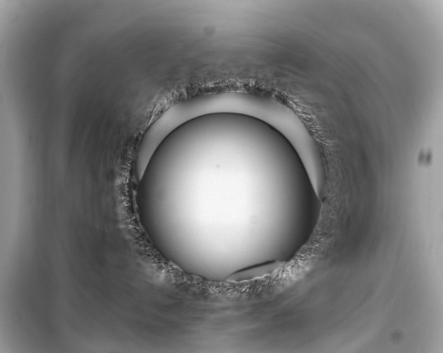 X0000099440192200805161143