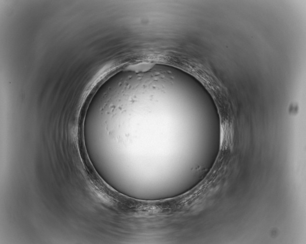 X0000099440195200805161142