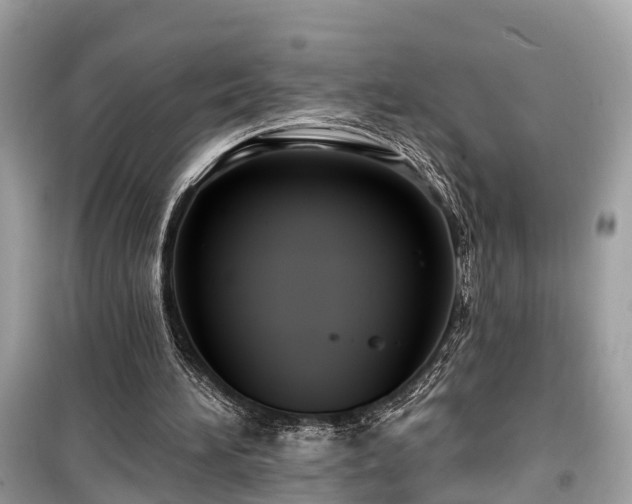 X0000099440196200805161142