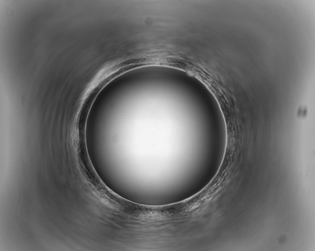 X0000099440198200805161142