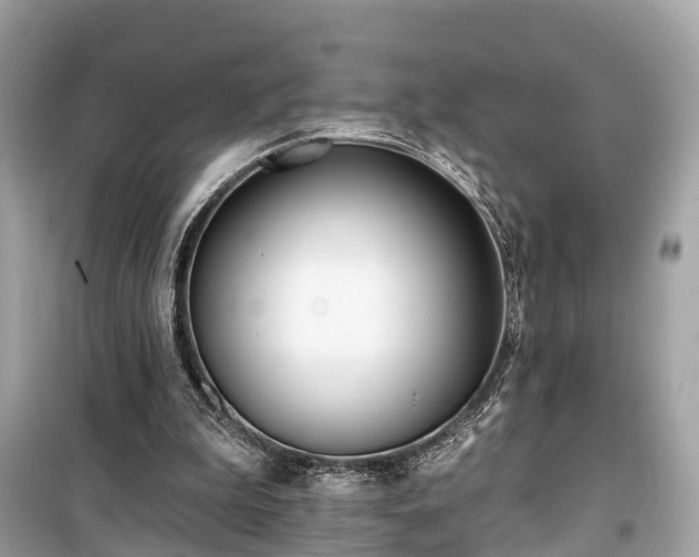 X0000099440199200805161142