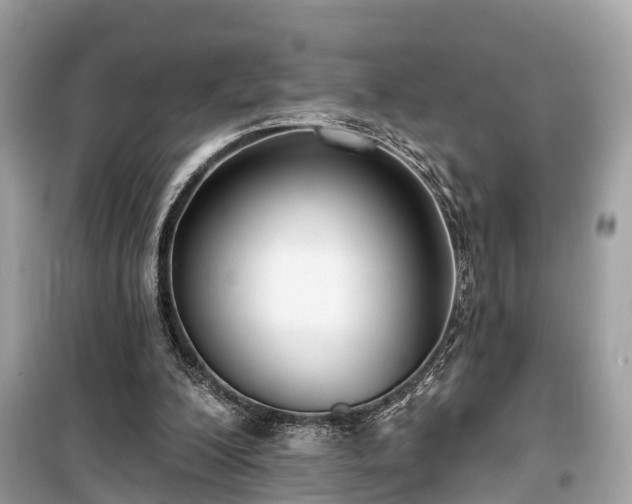 X0000099440200200805161142