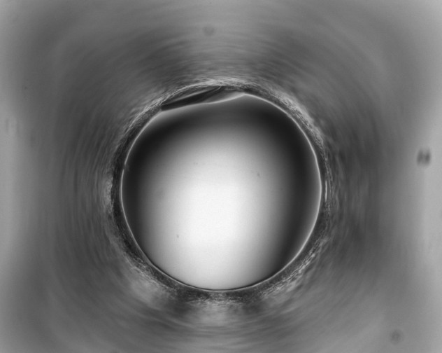 X0000099440201200805161142