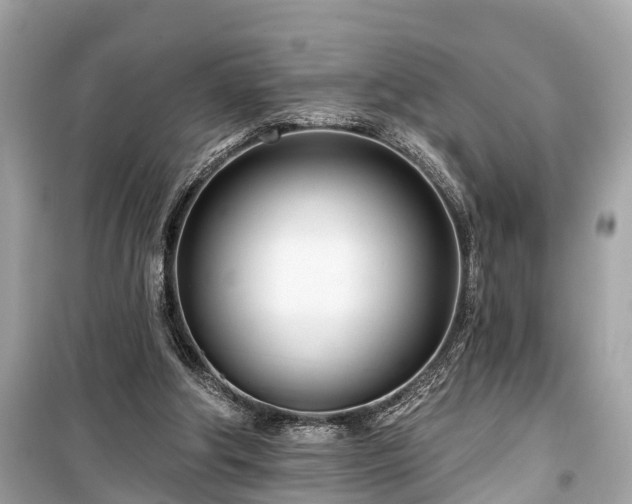 X0000099440202200805161142