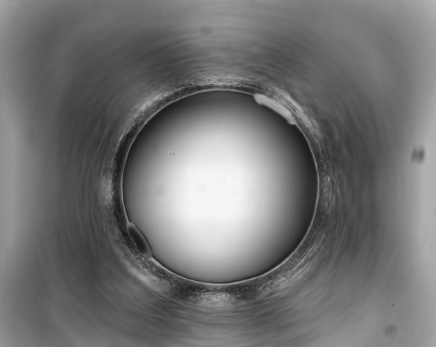 X0000099440203200805161142