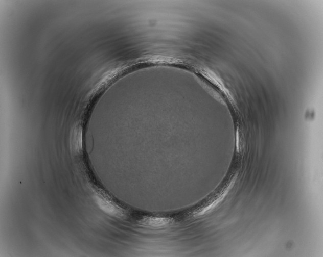 X0000099440205200805161142