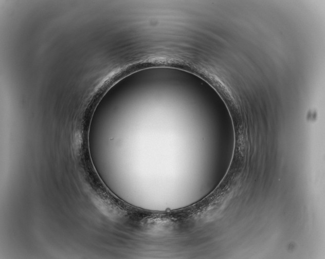 X0000099440208200805161142