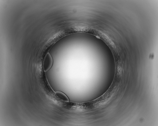 X0000099440211200805161142