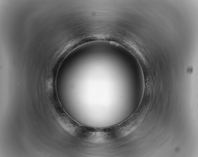 X0000099440212200805161142