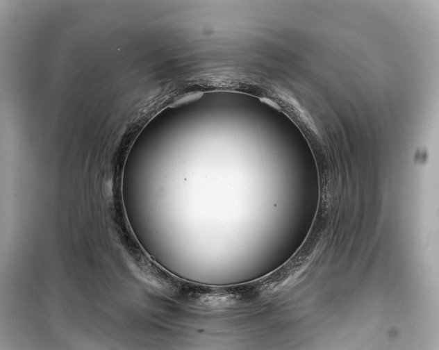 X0000099440213200805161142