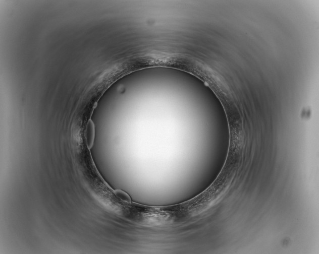 X0000099440215200805161142