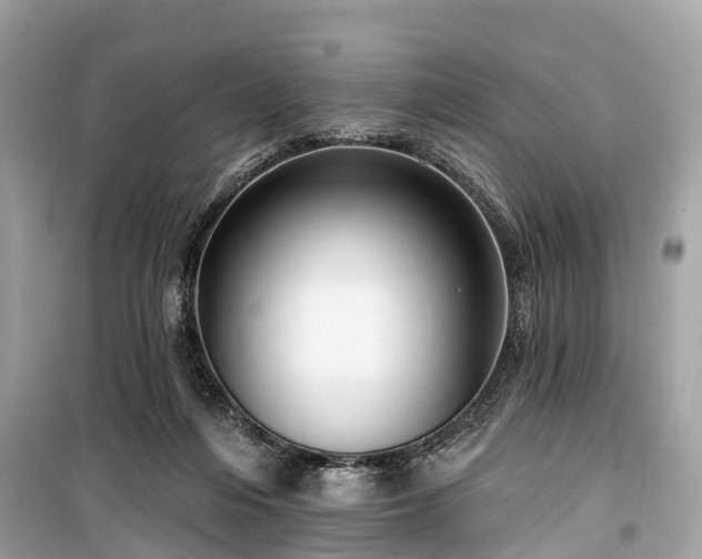 X0000099440216200805161142