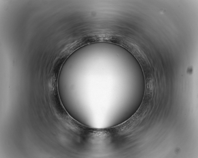 X0000099440218200805161142