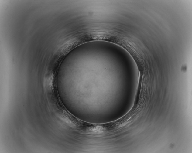 X0000099440219200805161142
