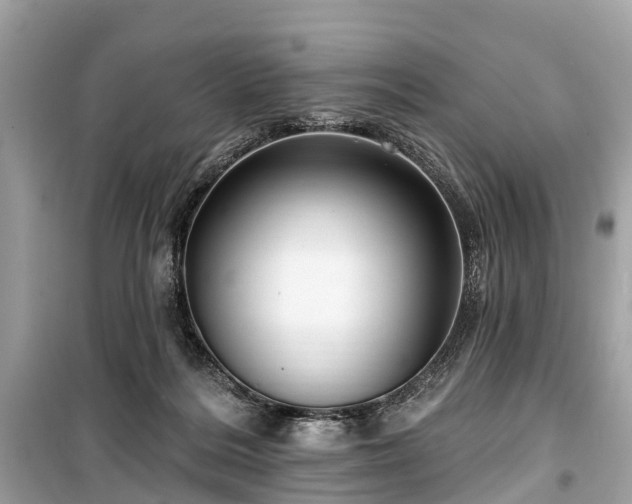 X0000099440220200805161142