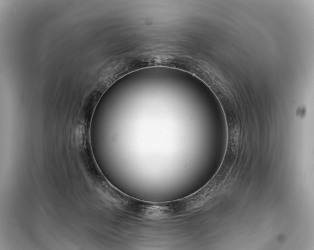 X0000099440222200805161142