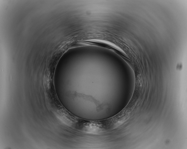 X0000099440223200805161142