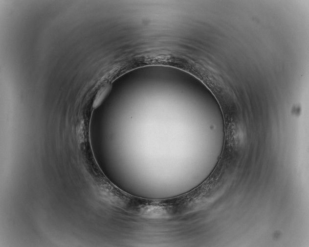 X0000099440224200805161142