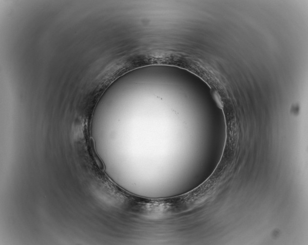 X0000099440225200805161142