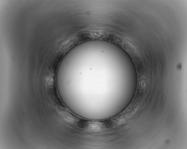 X0000099440226200805161142