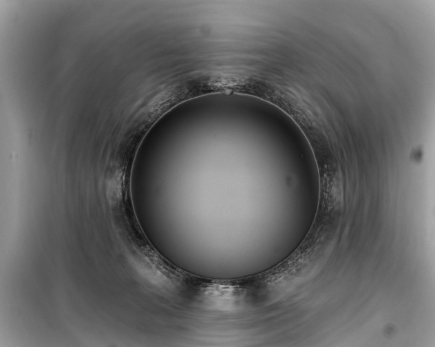 X0000099440227200805161142