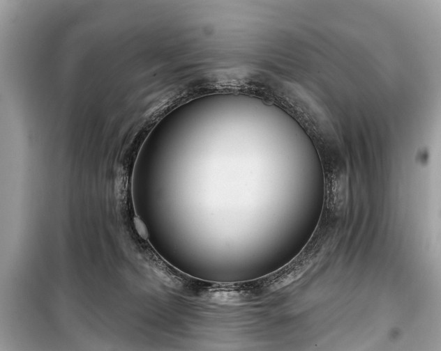 X0000099440228200805161142