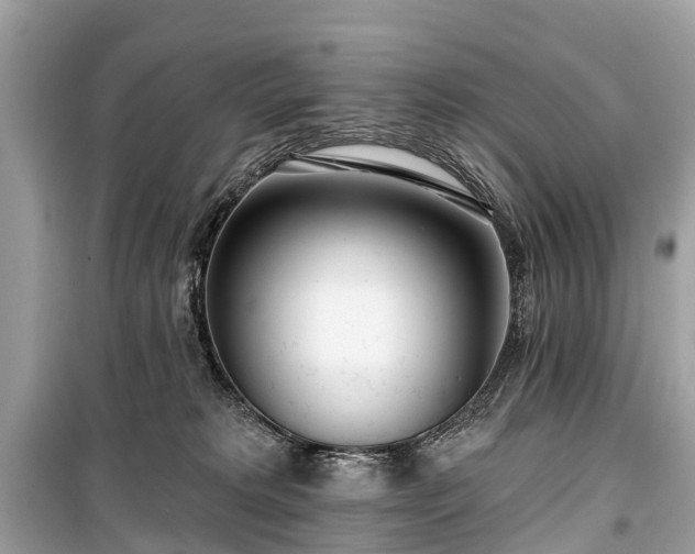 X0000099440229200805161142