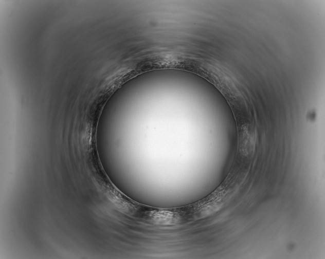 X0000099440230200805161142