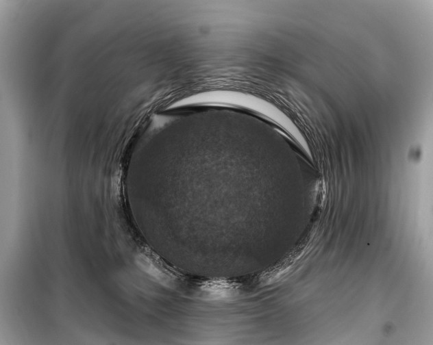 X0000099440231200805161141