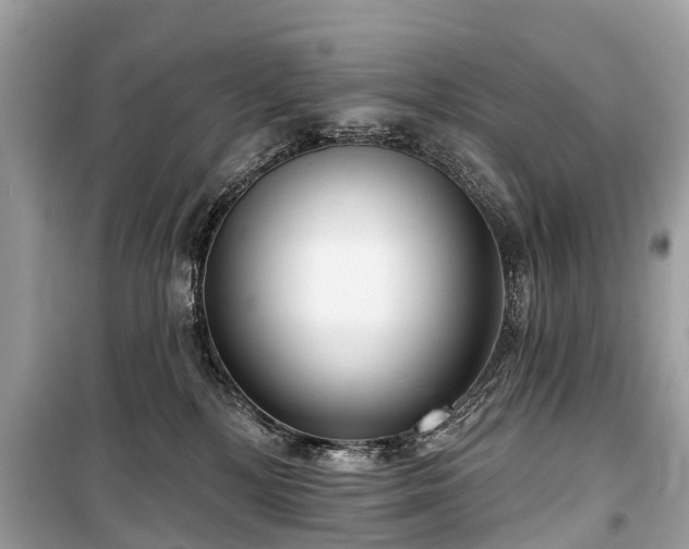 X0000099440232200805161141
