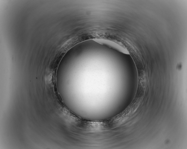 X0000099440233200805161141