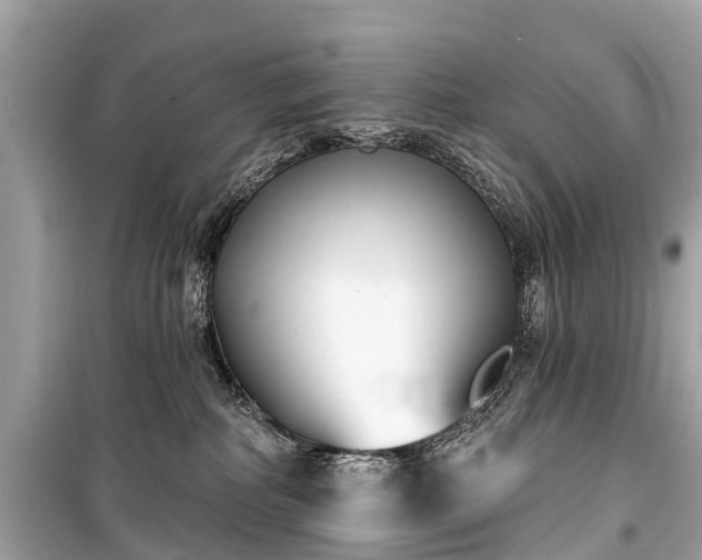 X0000099440234200805161141