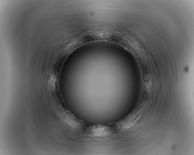 X0000099440235200805161141