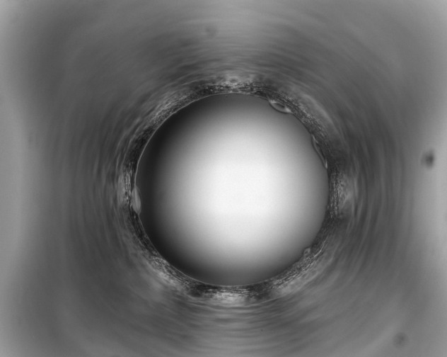 X0000099440236200805161141
