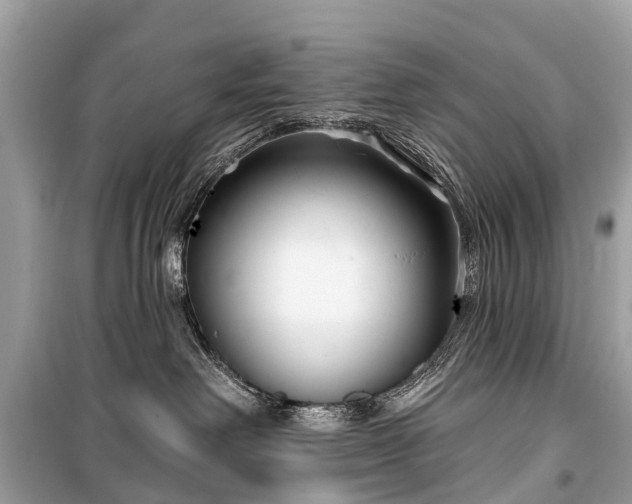 X0000099440238200805161141