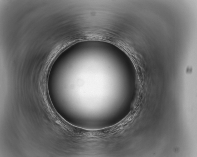X0000099440241200805161140