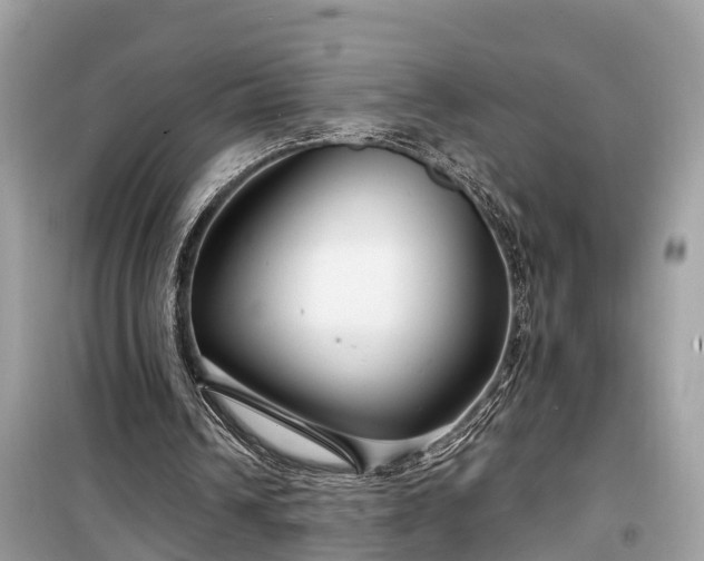 X0000099440242200805161140