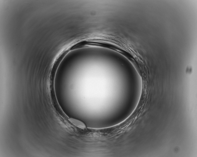 X0000099440244200805161140
