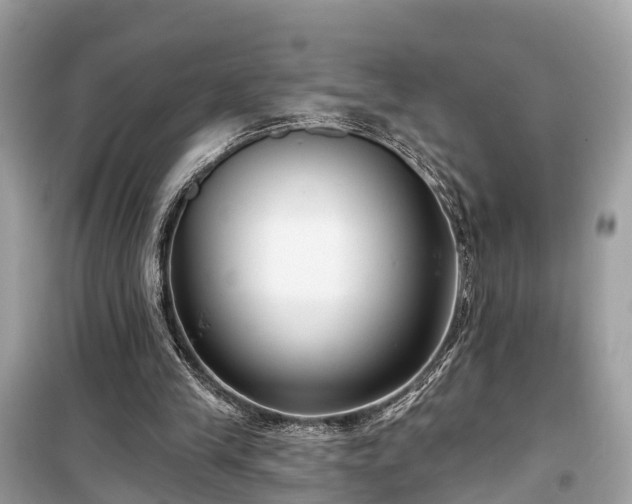 X0000099440245200805161140