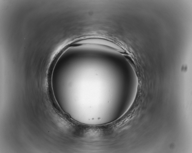 X0000099440248200805161140