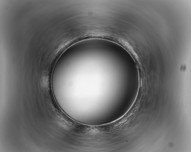 X0000099440249200805161140