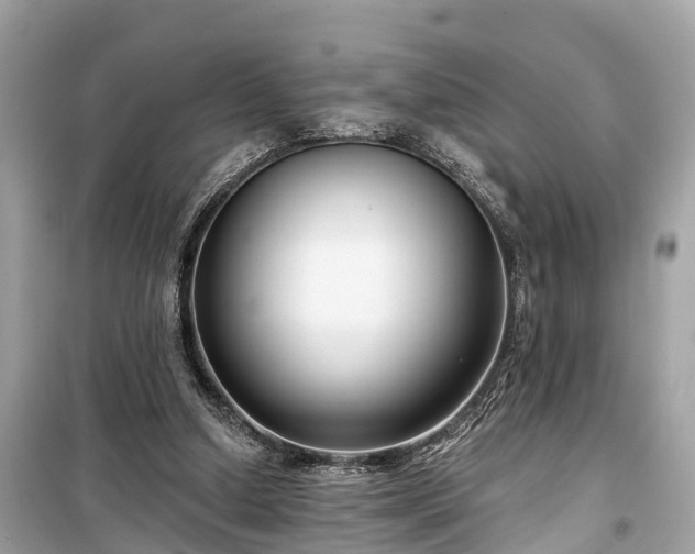 X0000099440250200805161140