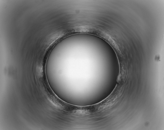 X0000099440251200805161141