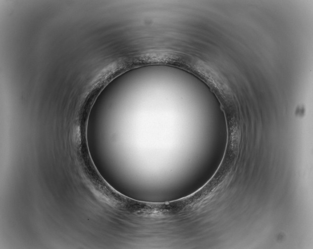 X0000099440254200805161141