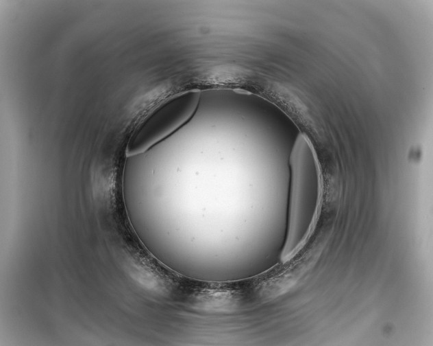 X0000099440260200805161141