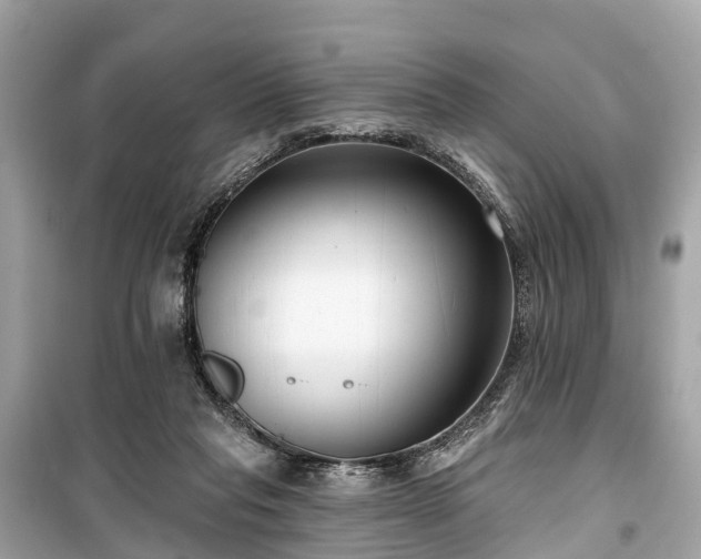 X0000099440261200805161141